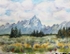 Sunshine, Sentinels and Sagebrush