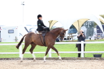 SBM_03297