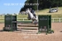 BPP_1111