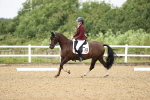 SBM_000398