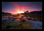 Castle Colour