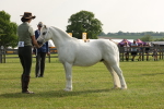 SBM_00567