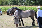 WJ6_4985