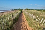 Sand dunes at Dawlish Warren 2