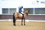 SBM_002165
