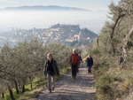 240430 Spello to Monte Subasio