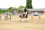 SBM_008161