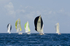 Bequia Easter Regatta_GRW_8118
