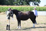 WJ6_4864