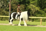 SBM_67378