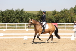 SBM_004390