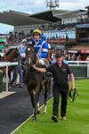 160926-Race 2-Northern Viola-9761