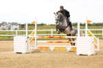 SBM_009175