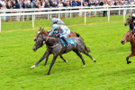 190523-Race 1-Got To Love A Grey-0566