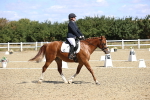 SBM_013885