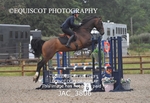 JAC_3806