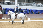 SBM_010190