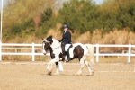 SBM_016769