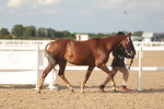 SBM_08608