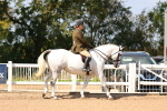 SBM_13156