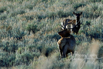 3HPhotography_Grand_Teton_OCT2025_00670