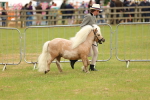 SBM_04460