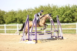 SBM_001395