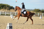 SBM_002880