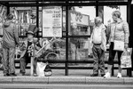 Tram Sunday 020