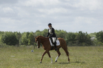 BVHT 140517 -206