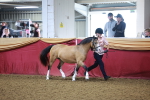 SBM_14676