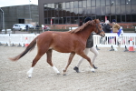 SBM_003913
