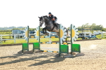 SBM_003281