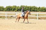 SBM_002174