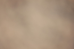20261010-0760