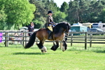 SBM_09453