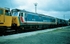 17th July 1988