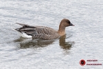 190322-untitled-8E0A3369