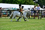 SBM_06437