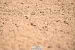 240324A-114346-01545