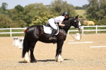SBM_009057