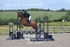 BPP_1224