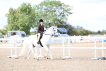 SBM_15775