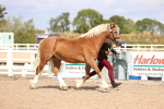 SBM_14293