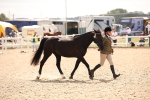 SBM_04621