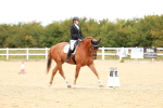 SBM_001900