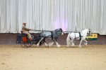 SBM_000625