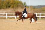 SBM_010510