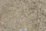 230721A-113730-05771