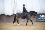 Class 48 - Ridden Mare portfolio